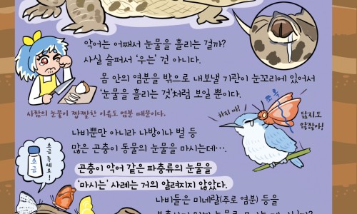 万圣节美食节-万圣节食物手抄报图片大全网—知名的万圣节创意美食网站,分享万圣节餐食知识